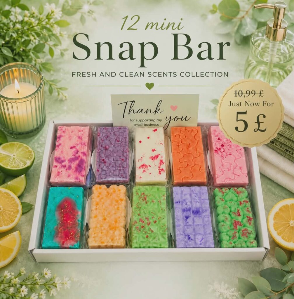 Fresh & Clean Scented  Mini  Snap Bars Sample Box 12pcs