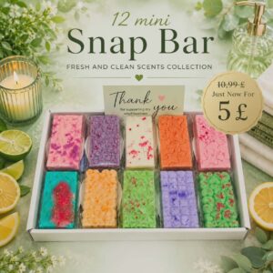 Fresh & Clean Scented  Mini  Snap Bars Sample Box 12pcs